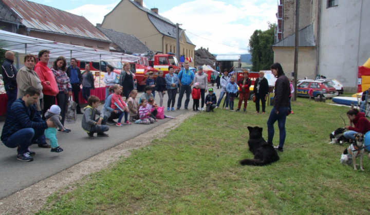 Šport a Kultúra / II. FESTIVAL RUDOHORIA