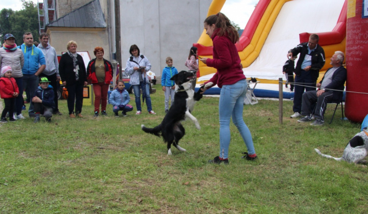 Šport a Kultúra / II. FESTIVAL RUDOHORIA