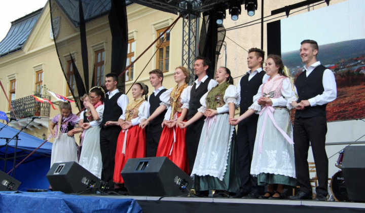Šport a Kultúra / II. FESTIVAL RUDOHORIA