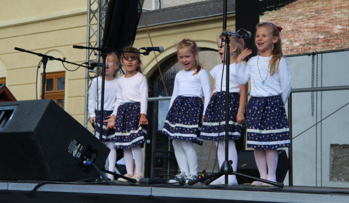 Šport a Kultúra / II. FESTIVAL RUDOHORIA