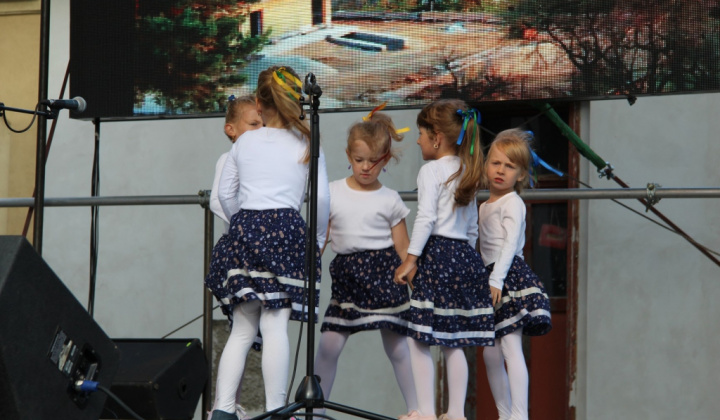Šport a Kultúra / II. FESTIVAL RUDOHORIA