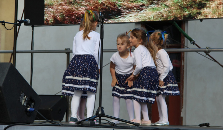 Šport a Kultúra / II. FESTIVAL RUDOHORIA