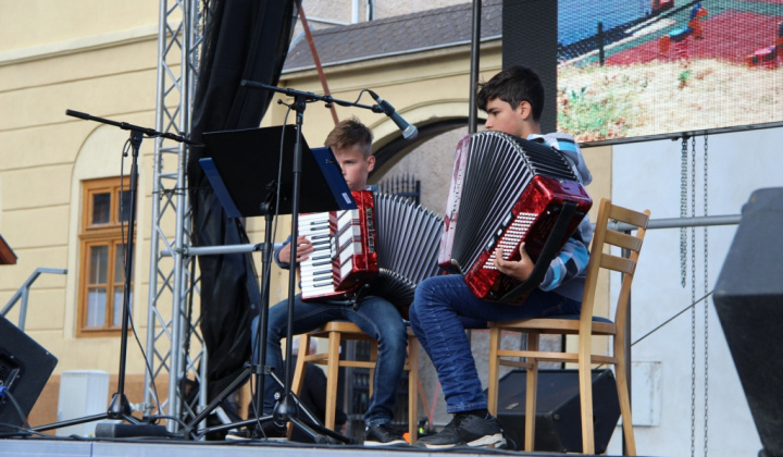 Šport a Kultúra / II. FESTIVAL RUDOHORIA