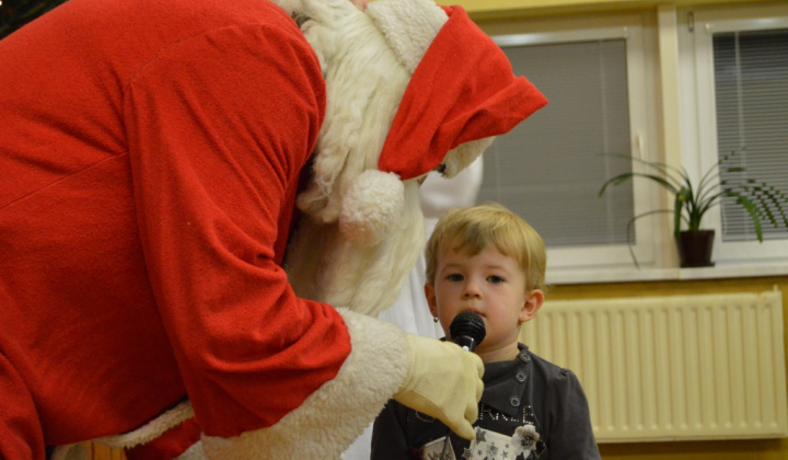 Šport a Kultúra / Karneval 2014