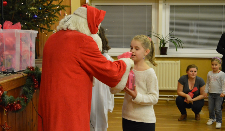 Šport a Kultúra / Karneval 2014