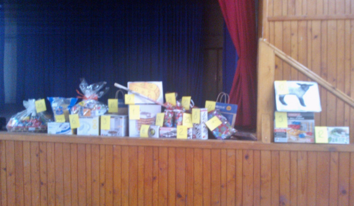 Šport a Kultúra / I. kolkársky ples 2013
