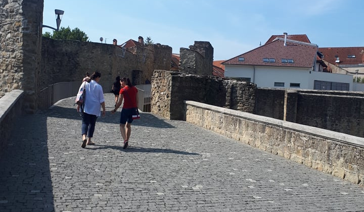 Šport a Kultúra / Bardejovský jarmok - foto