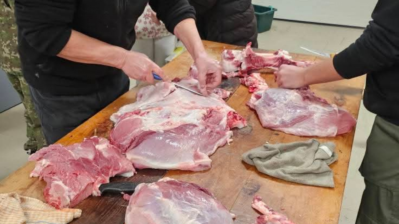 Fotografia fotogalérie Obecná zabíjačka 2025