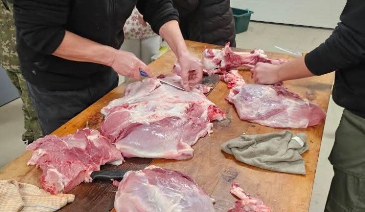 1. fotografia fotogalérie Obecná zabíjačka 2025