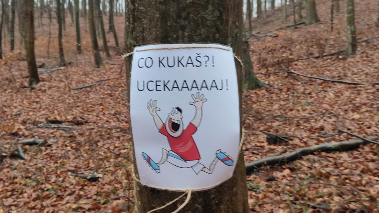 Fotografia fotogalérie Lesný beh