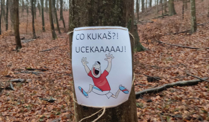 1. fotografia fotogalérie Lesný beh