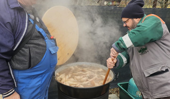 3. fotografia fotogalérie Obecná zabíjačka 2026