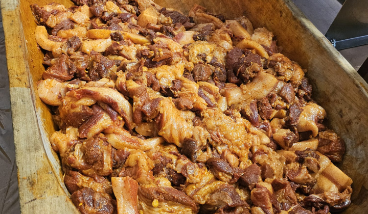 6. fotografia fotogalérie Obecná zabíjačka 2026