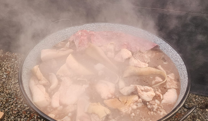 8. fotografia fotogalérie Obecná zabíjačka 2026