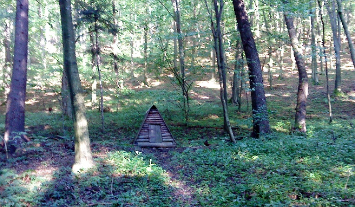 Kaplička