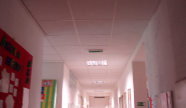 Rekonštrukcia ele.rozvodov a kazetových stropov ZŠ a MŠ 2014