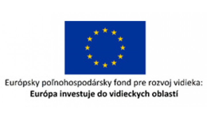 Fotka - Rekonštrukcia sály kultúrneho domu